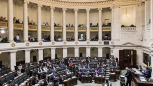Who Are the Key Institutional Actors Referenced in the BelgianGate Files?